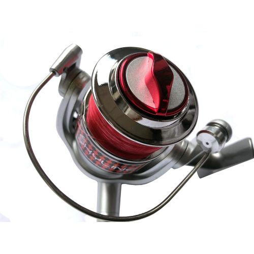  [아마존베스트]York Fishing York Sakana Skyline FD 3000 Front Brake Fixed Reel with Line Tendon