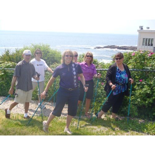  York Nordic Pink Walking Poles - Lightweight, Adjustable, and Collapsible - 2 Poles w/Rubber feet and Travel Bag