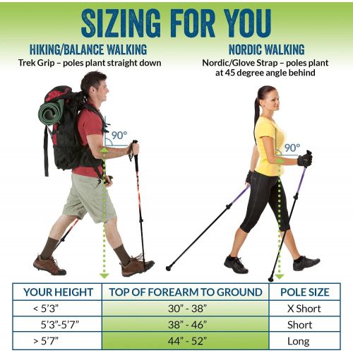  York Nordic Short (53 to 57 Tall) Ultralight Folding Walking Poles - Travel Ready - 15 in collapsed - with Rubber Feet, Baskets, and Bag