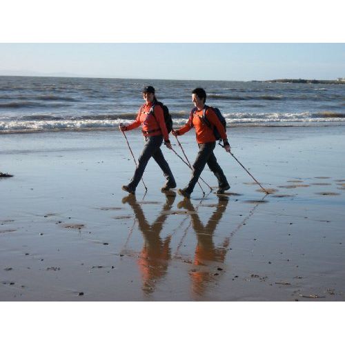 York Nordic Green Zen Trekking/Walking Poles - Lightweight, Adjustable, and Collapsible - 2 Pack w/flip Locks, Detachable feet and Travel Bag
