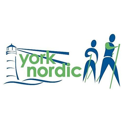 York Nordic 2 Pack - Shock-Absorber Suspension Walking/Hiking/Trekking Poles - adjusts 45 to 61 inches