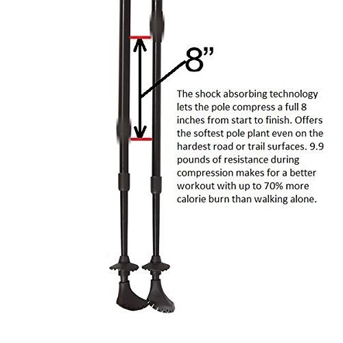  York Nordic 2 Pack - Shock-Absorber Suspension Walking/Hiking/Trekking Poles - adjusts 45 to 61 inches