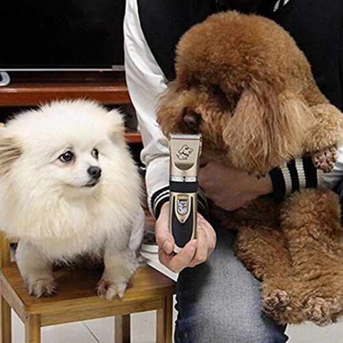  Yuxufeng BaoRun Pet Dog Grooming Clippers Professional Rechargeable Cordless Hair Clippers with Comb Low Noise for Small Medium Large Dogs Cats