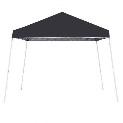  Z-Shade 10 x 10 Angled Leg Instant Black Canopy Shelter with Screen & Weights