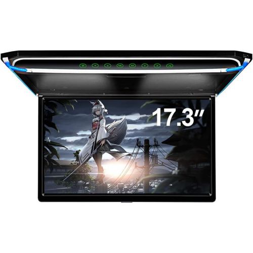  [아마존베스트]Zbark 17.3 Car Overhead Flip Down Monitor Screen Dispaly 1080P Video HD Digital TFT Screen Wide Screen Ultra-Thin Mounted Car Roof Player HDMI IR FM USB SD