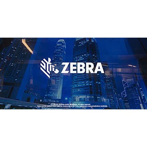  [아마존베스트]Zebra Technologies P1046696-016 Spare Parts, ZE500-4 Lh and Rh, Kit, Print Head, 300 DPI