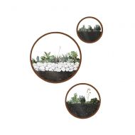 ZEETOON Modern Indoor Succulent Planter Metal Iron Circle Round Wall Hanging Planter (Pack of 3, Coffee)