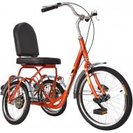 ZFF Fast Shipment Adult Tricycles Single Speed 20Inch 3 Wheel Bikes Bicycles Cruise Trike with Rear Shopping Basket for Seniors, Women, Men (Color : Orange)