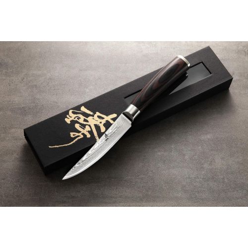  ZHEN Japanese VG-10 67 Layers Damascus Steel Steak/Utility Knife, 4.5-inch