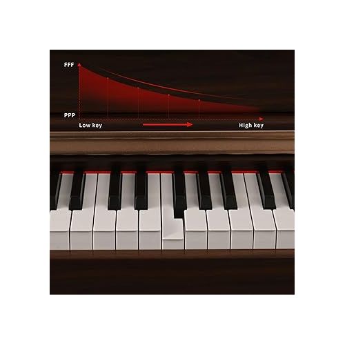  ZHRUNS Digital Piano, 88 Key Full Weighted Keyboard Piano,Professional Acoustic Heavy Hammer Keyboard Electric Piano, Sustain Pedal,USB MIDI Connecting Audio Output ZR-903