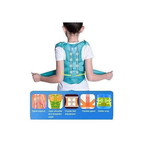  Posture Corrector, Children Hunchback Correction Belt Posture Corrector Brace Back Spine Support Belt for Back Support & Correcting Hunchback.(L)