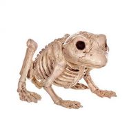 ZLJTYN 5 Pack, Skeleton Frogs Halloween Party Fish 100% Plastic Animal Skeleton Bones for Horror Halloween Decoration Creative Gift For Child