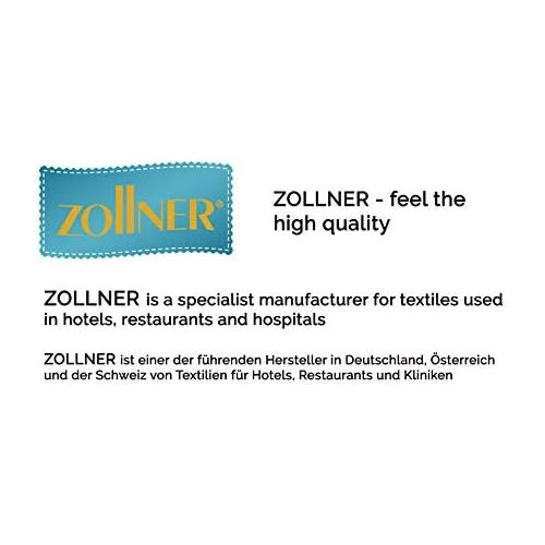  Besuchen Sie den ZOLLNER-Store ZOLLNER Hangematte Ultraleicht 300x200 cm, Mehrpersonen bis 300 kg, gruen