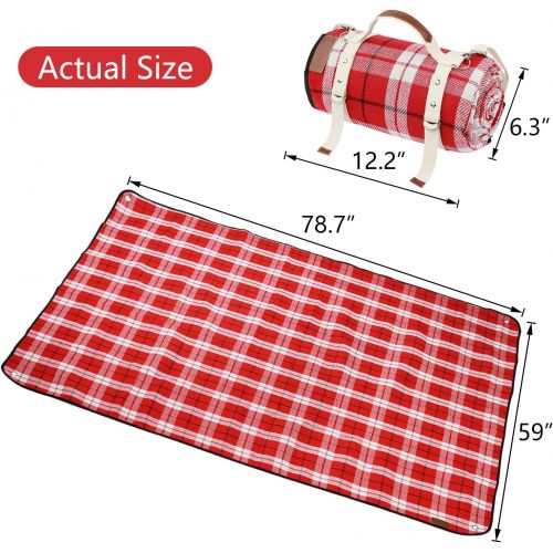  ZORMY Extra Large Picnic Blanket Beach Mat Waterproof Folding Picnic Outdoor Blanket 79 x 59 Oversized Rug Portable Blanket with Stakes for Outdoor Picnics, Camping Beach Concert G