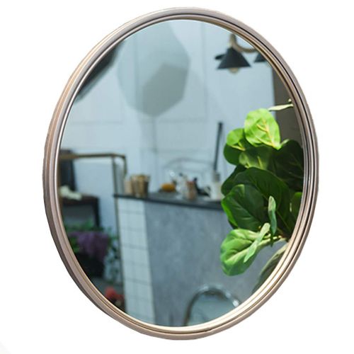  ZRN-Mirror Decorative Wall Mirrors with Metal Frame Bathroom Makeup/Shave/Shower/Vanity Large Round Mirror for Entry Dining Room Living Room (12 Inch-28 Inch)