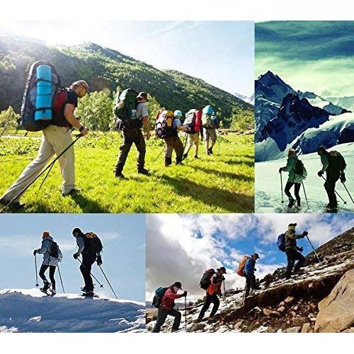  ZTOUR Trekking Poles Walking Sticks Hiking Pole Collapsible Anti Shock Ultralight Adjustable Folding Trails