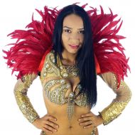 ZUCKER Feather Carnival Costume Samba Collar - Red Cosplay/Halloween Costumes