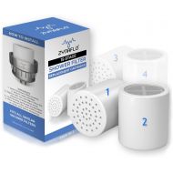 ZYNAFLO 15-Stage Shower Filter Replacement Cartridge (Pack of 2)