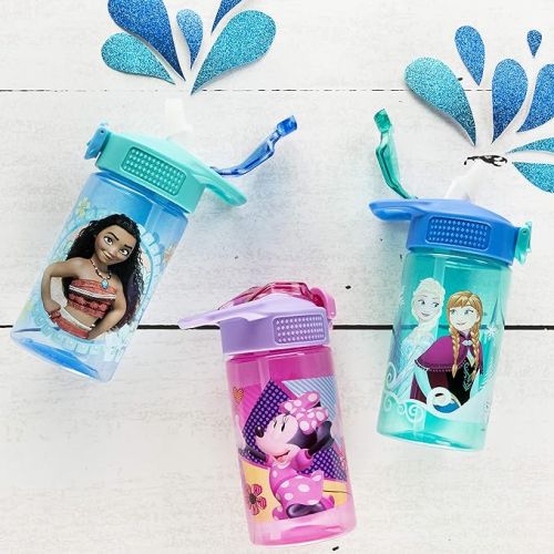  Zak Designs Disney Frozen 16 ounce Water Bottle, Anna & Elsa