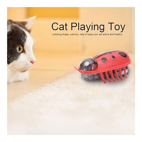  Zerodis Cat Interactive Toys, 7Pcs Mini Cute Ladybug Cat Playing Toy Electric Funny Interactive Toy with Battery for Cats Kitten Training Playing Chewing