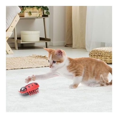  Zerodis Cat Interactive Toys, 7Pcs Mini Cute Ladybug Cat Playing Toy Electric Funny Interactive Toy with Battery for Cats Kitten Training Playing Chewing