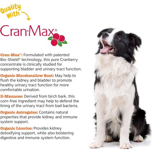  [아마존 핫딜]  [아마존핫딜]Zesty Paws Cranberry for Dogs - UT Incontinence Support + Immune Health Dog Antioxidant - Urinary Tract UTI & Kidney + Bladder Support - D-Mannose + Organic Marshmallow & Licorice