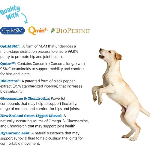  [아마존 핫딜] [아마존핫딜]Zesty Paws Senior Advanced Glucosamine for Dogs - for Hip & Joint Arthritis Pain Relief - Chondroitin, Turmeric Curcumin & MSM - Mobility Supplement with Green Lipped Mussel & Hyal