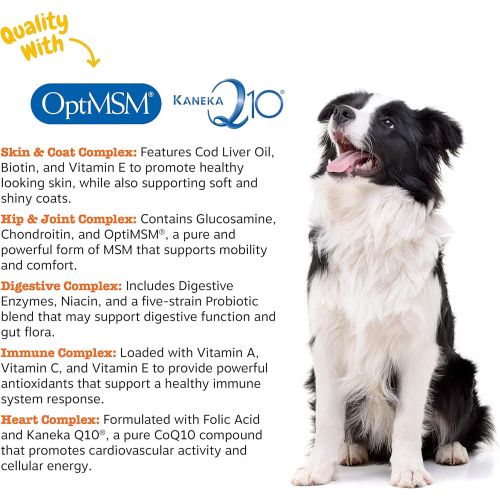  [아마존 핫딜] [아마존핫딜]Zesty Paws Multivitamin Treats for Dogs - Glucosamine Chondroitin for Joint Support + Digestive Enzymes & Probiotics - Grain Free Dog Vitamin for Skin & Coat + Immune Health - Chic