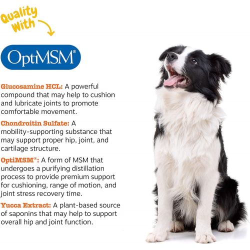  [아마존 핫딜] Zesty Paws Glucosamine for Dogs - Hip & Joint Supplement for Dog Arthritis Pain Relief - with Chondroitin & MSM - Advanced Natural Mobility Pet Soft Chews for Joints - All Breeds &