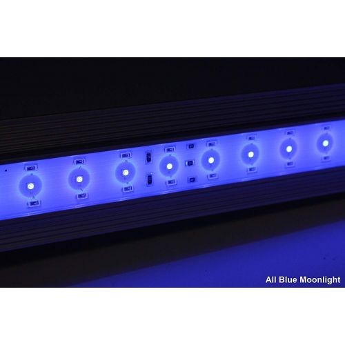  Zetlight ZP-4000-742 All Blue Waterproof Aquarium LED Light, 30-35