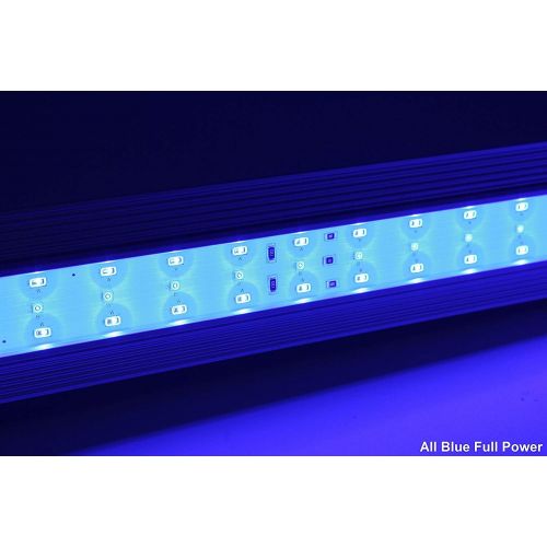  Zetlight ZP-4000-742 All Blue Waterproof Aquarium LED Light, 30-35