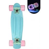 Zhengji Cruiser Skateboard 22 inch for Beginners with LED Light Up Wheels, Funny Cool Mini Skating Board 22 inch for Kids Boy Girl 7-14, Skateboard with Carrying Bags