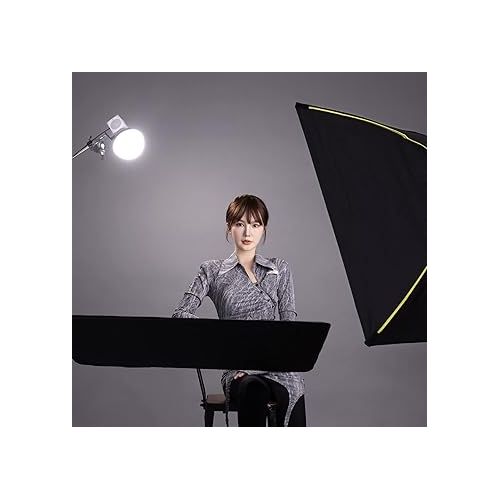 지윤텍 Zhiyun Dome Diffusion Light Diffuser Modifier with ZY Mount Reflector for Zhiyun G60 Zhiyun X100 LED Video Light (Big Size Reflector and Diffuser)