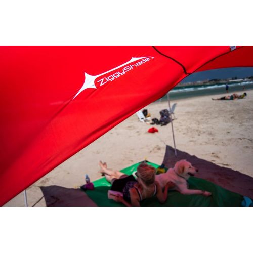  ZiggyShade Family Beach Sunshade  Lightweight Sun Shade Tent with Sandbag Anchors & 4 Free Pegs | UPF50+ UV Quality Lycra Fabric | Large & Portable | Canopy for Parks & Outdoor