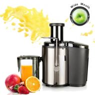 Zimtown 800W Fruit & Vegetable Juicer, Juice Container, Electric Juice Machine Fruit Extractor