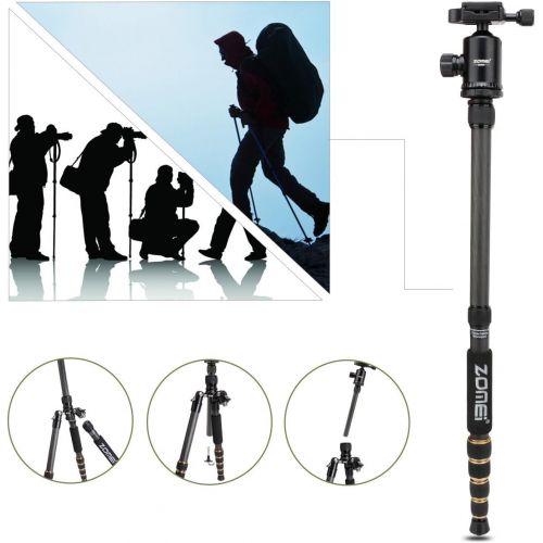  ZOMEI Z669C Carbon Fiber Portable Tripod with Ball Head Compact Travel for Canon,Sony, Nikon, Samsung, Panasonic, Olympus, Kodak, Fuji, Cameras and Video Camera