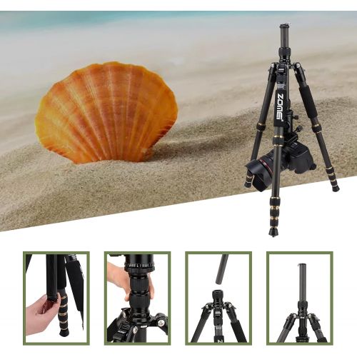  ZOMEI Z669C Carbon Fiber Portable Tripod with Ball Head Compact Travel for Canon,Sony, Nikon, Samsung, Panasonic, Olympus, Kodak, Fuji, Cameras and Video Camera