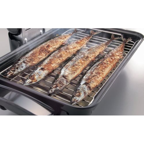  Zojirushi America EF-VPC40 Fish Roaster, Metallic Gray