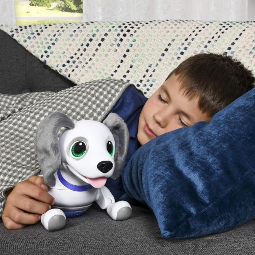  zoomer Playful Pup, Responsive Robotic Dog with Voice Recognition & Realistic Motion, For Ages 5 & Up