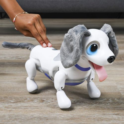  Zoomer zoomer Playful Pup, Responsive Robotic Dog with Voice Recognition & Realistic Motion, For Ages 5 & Up