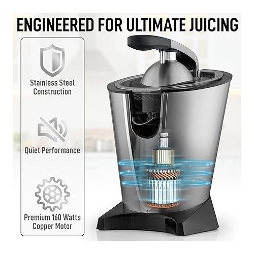 Zulay Powerful Electric Orange Juicer Squeezer - Stainless Steel Citrus Juicer Electric With Soft Touch Grip & Superior Motor For Effortless Juicing - Easy to Clean Exprimidor de Naranjas Electrico