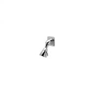 Zurn Z7000-I5 Temp-Gard Wall Mounted Large Brass Shower Head with Spray Adjustment, Chrome Finish, 2.5 gpm Flow Rate