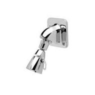 Zurn Z7000-I6 Temp-Gard Wall Mounted Small Brass Shower Head with Brass Ball Joint Connector, Spray Adjustment, Chrome Finish, 2.5 gpm Flow Rate