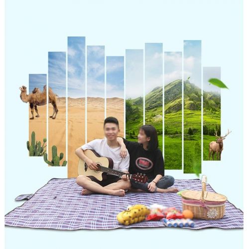  Zxb-shop Household Outdoor Picnic Mat Thick Waterproof Picnic Mat Beach Lawn Acrylic Floor Mat (Color : A)