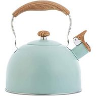 zxccv 2.5 Liters Whistle Teapot Stainless Steel Stove Teapot Fashion Wood Grain Kettle Non Slip Handle Whistle Kettle Teapot (Color : Vert Clair)