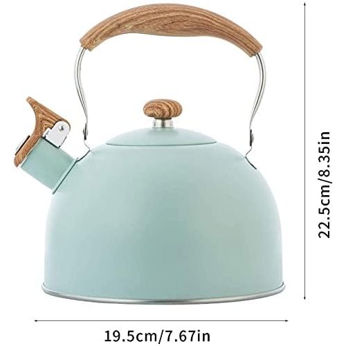  zxccv 2.5 Liters Whistle Teapot Stainless Steel Stove Teapot Fashion Wood Grain Kettle Non Slip Handle Whistle Kettle Teapot (Color : Vert Clair)