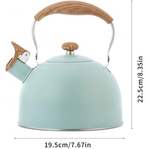  zxccv 2.5 Liters Whistle Teapot Stainless Steel Stove Teapot Fashion Wood Grain Kettle Non Slip Handle Whistle Kettle Teapot (Color : Vert Clair)