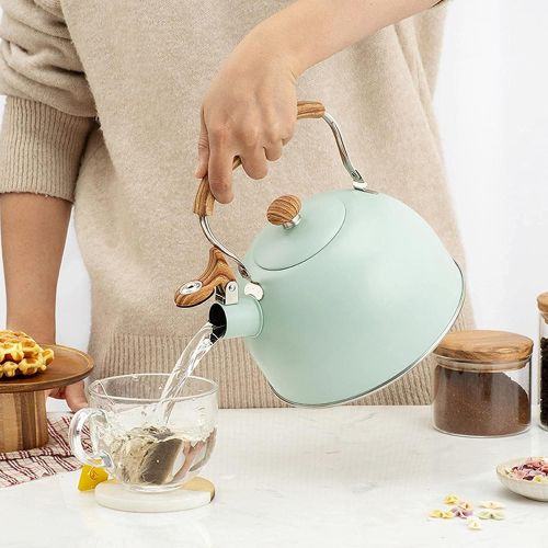  zxccv 2.5 Liters Whistle Teapot Stainless Steel Stove Teapot Fashion Wood Grain Kettle Non Slip Handle Whistle Kettle Teapot (Color : Vert Clair)