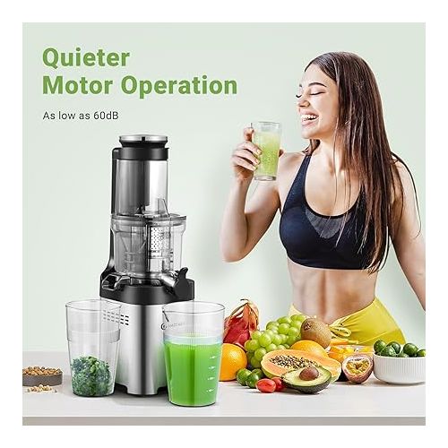  AMZCHEF Cold Press Juicer, Juicer Machine with Large Feed Chute for Whole Fruits and Vegetables - Durable Stainless Steel Masticating Juicer, Large Auger, Double Strainers (silvery iron)