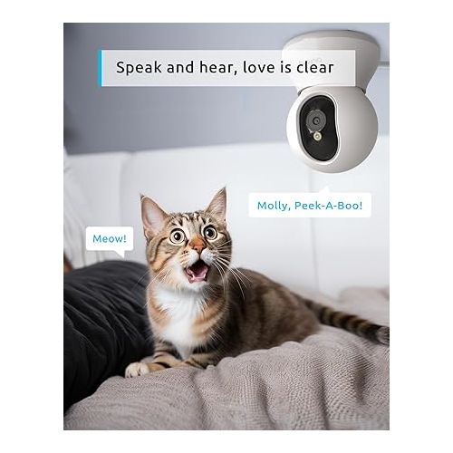  blurams Pet Camera 2K, 360° Indoor Security Camera, Dog Camera with Phone App, PTZ Cameras for Home Security Indoor, 2-Way Audio, Motion Tracking, Color/IR Night Vision, Siren, Cloud&SD(2.4GHz Only)